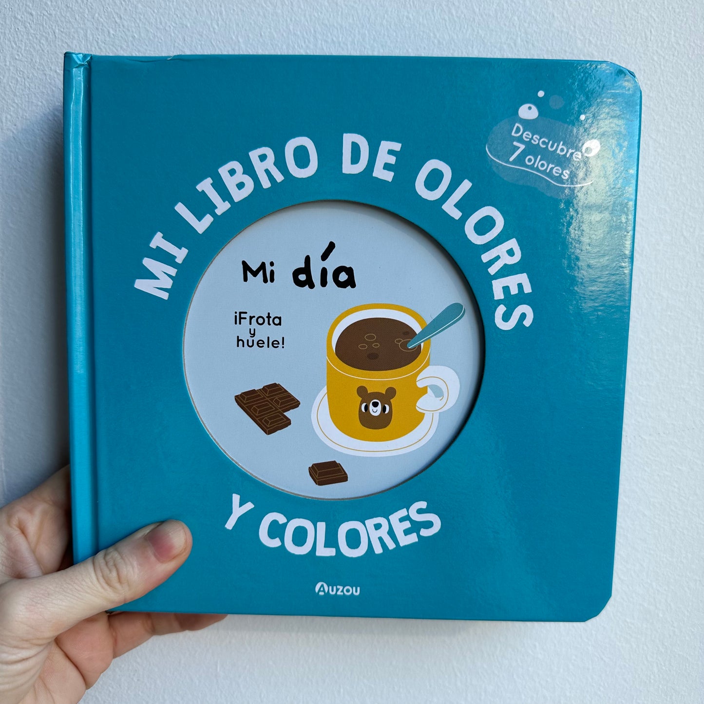 MI LIBRO DE OLORES-MI DÍA